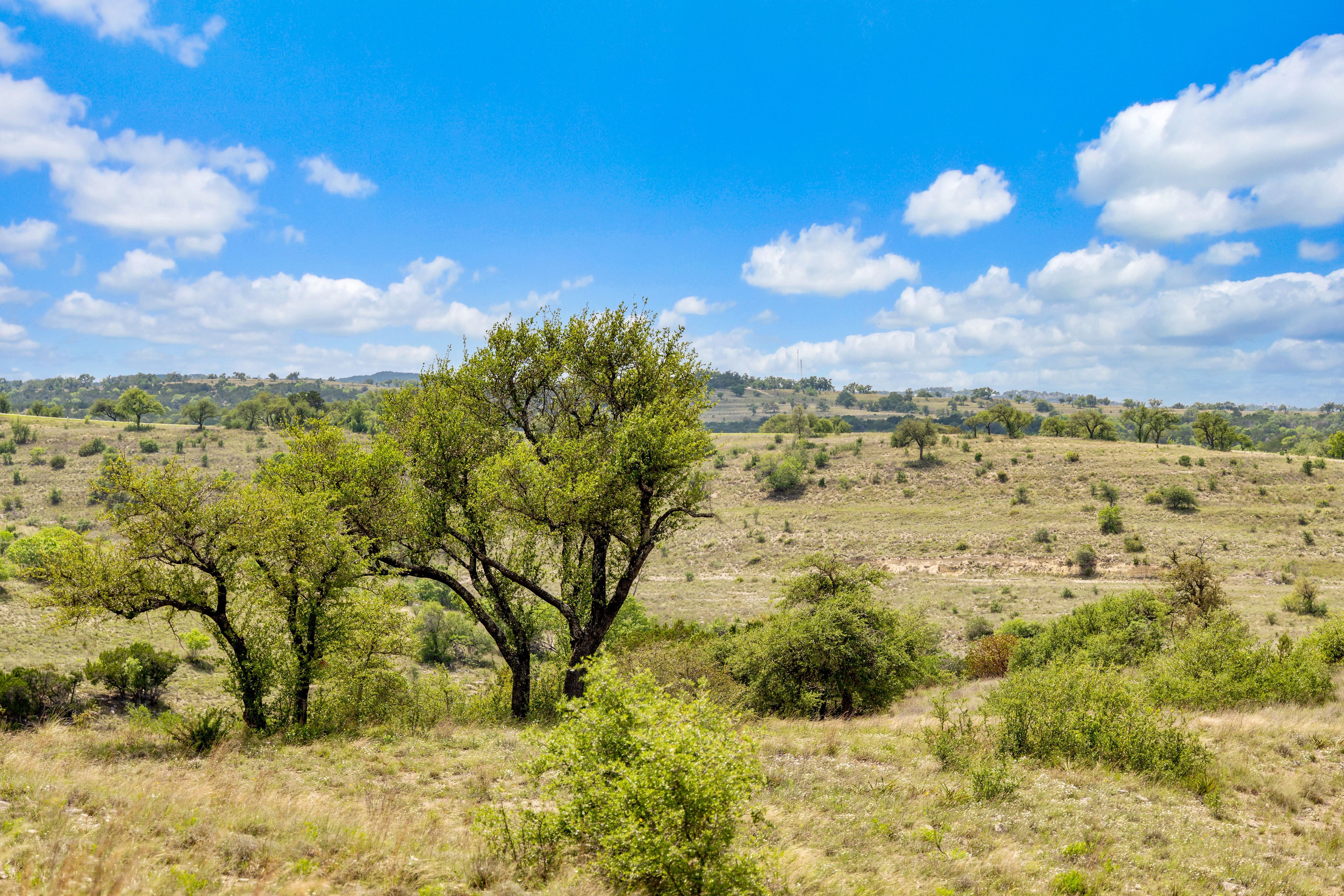 21 Acre Estate Homesite in Gated Preservation Ranch - 物件實景