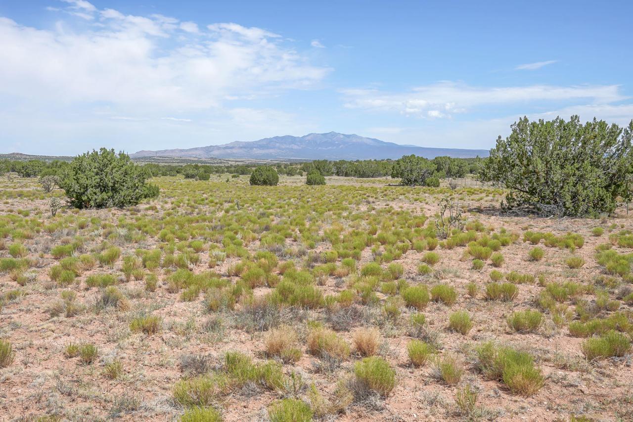 337 Scholle Road, Mountainair, New Mexico, 87036, United States, 3 Bedrooms Bedrooms, ,3 BathroomsBathrooms,Residential,For Sale,337 Scholle Road,1459491