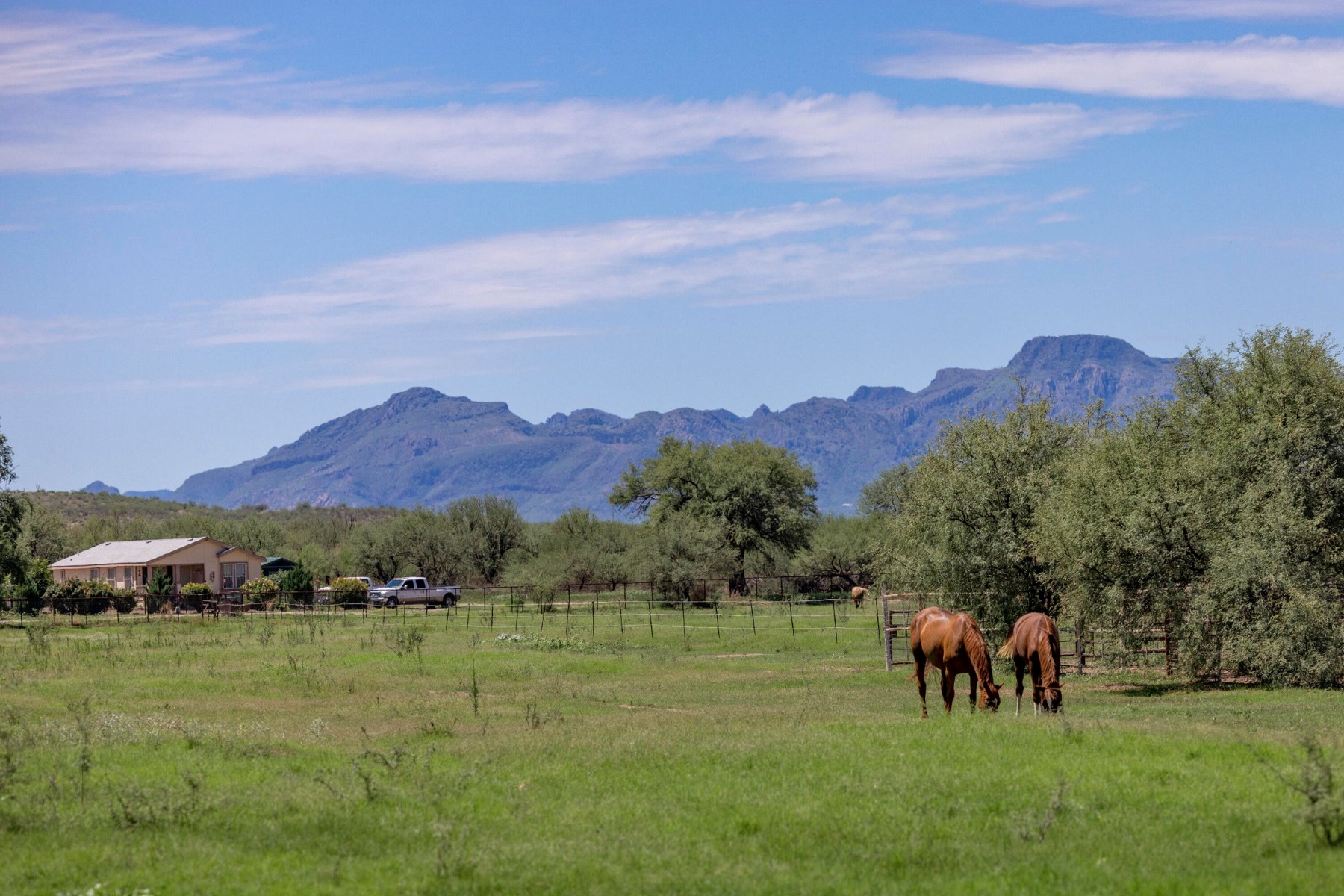  3155 W Elephant Head Road¦Amado, AZ - 物件實景
