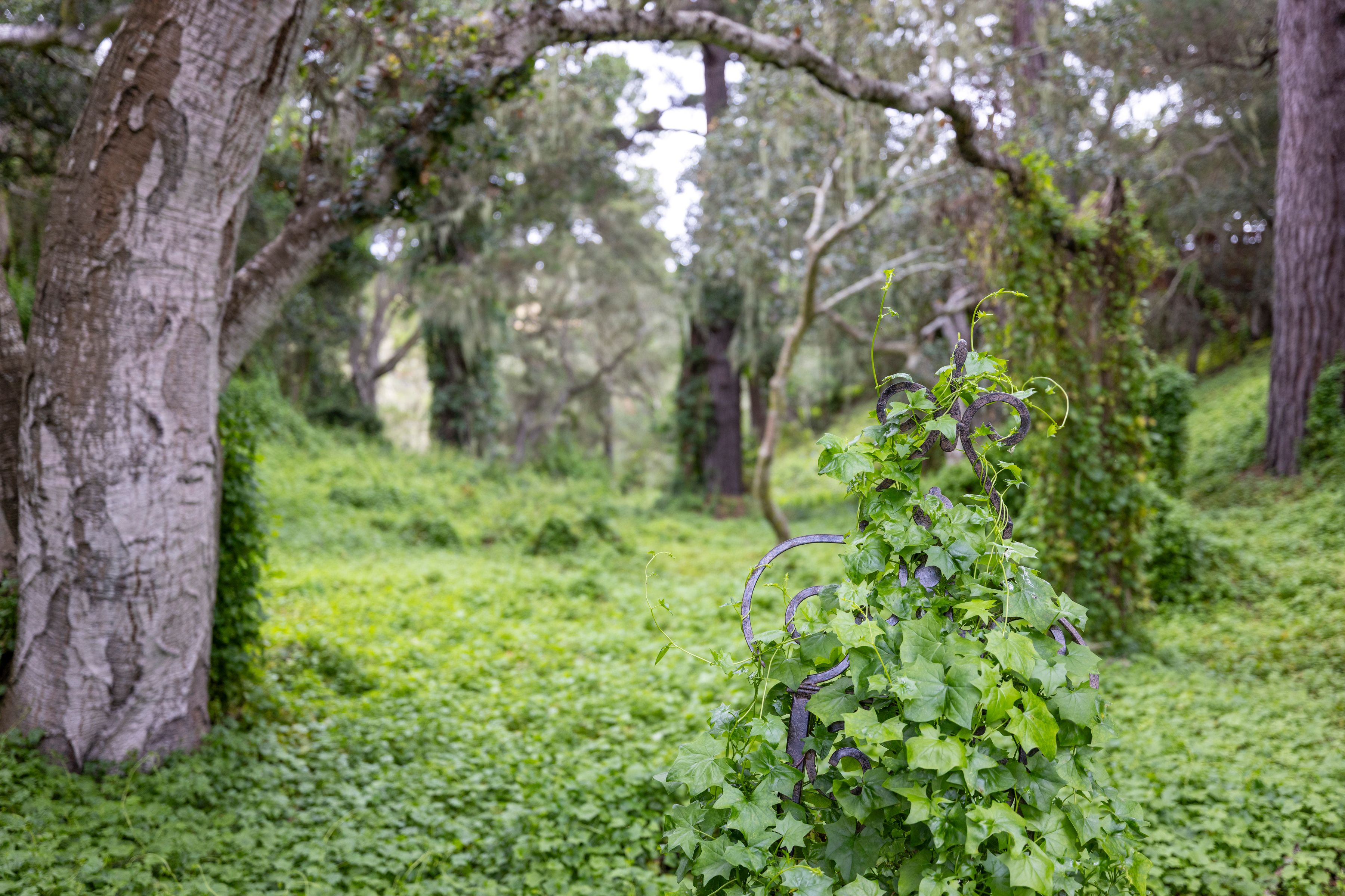  25193 Flanders Drive, Carmel - 物件實景