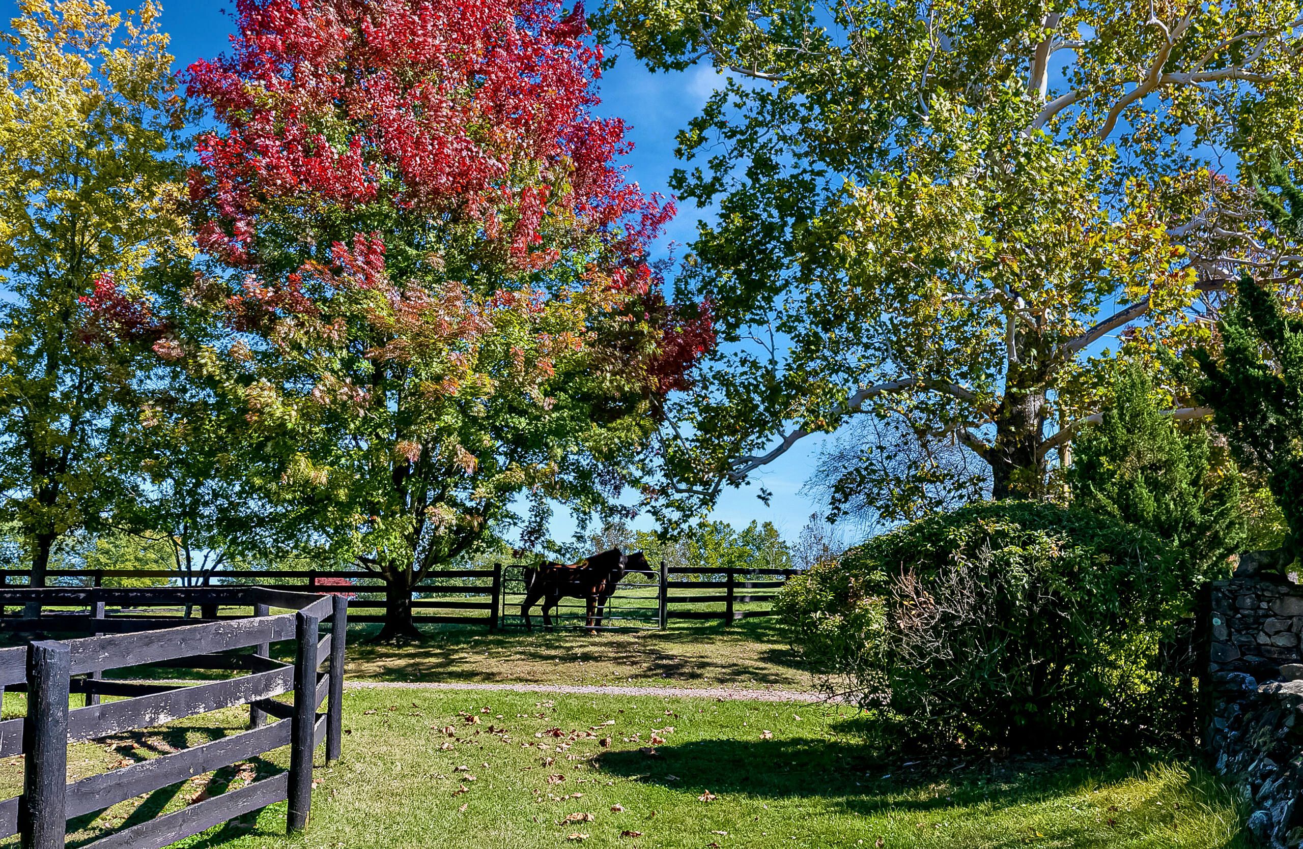  Peace and Plenty at Bollingbrook, circa 1809 - 物件實景
