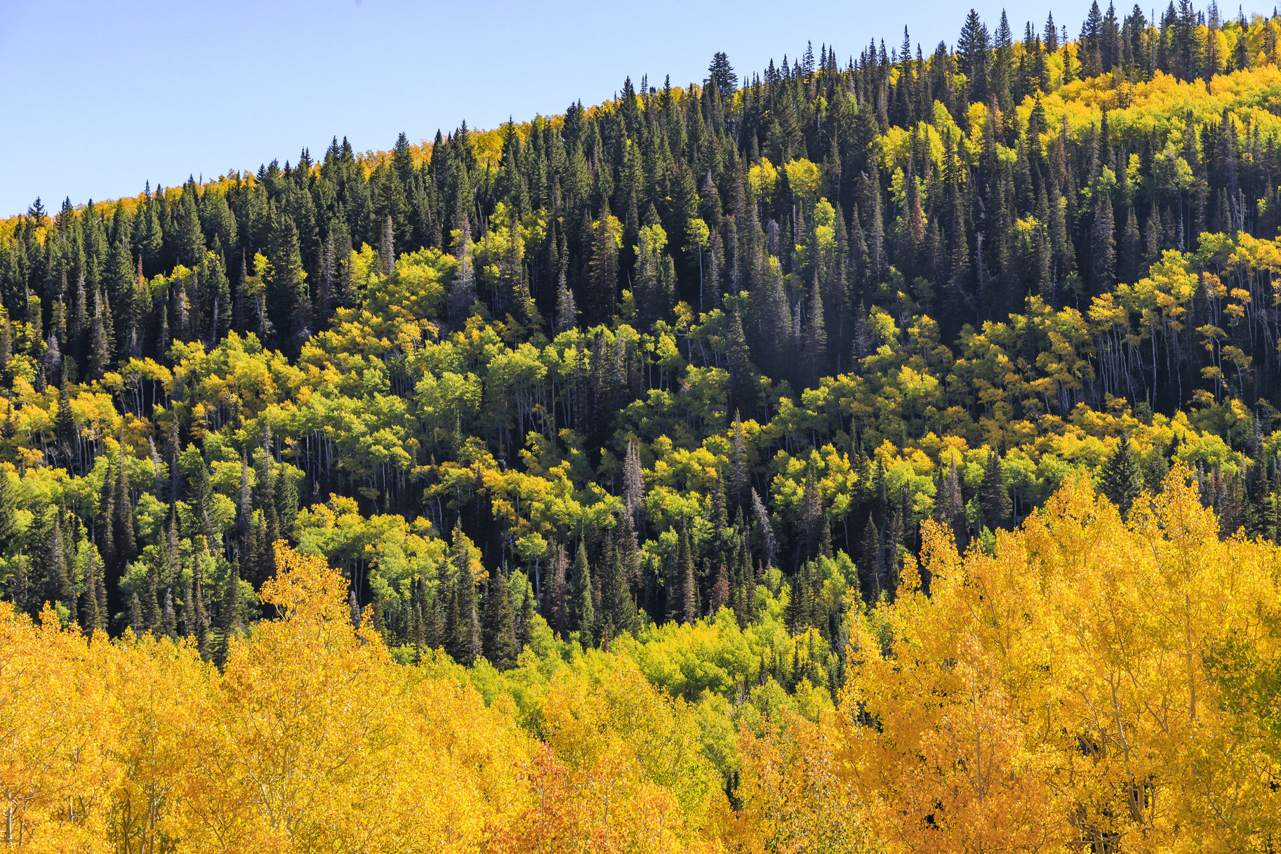  Incredible 28 Acre Estate Lot in the Colony at White Pine Canyon - 物件實景