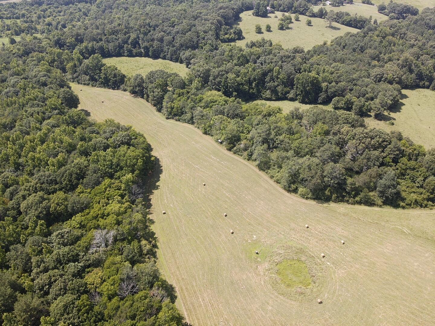 Bryant, Alabama, 35958, United States, ,Land,For Sale,1982684