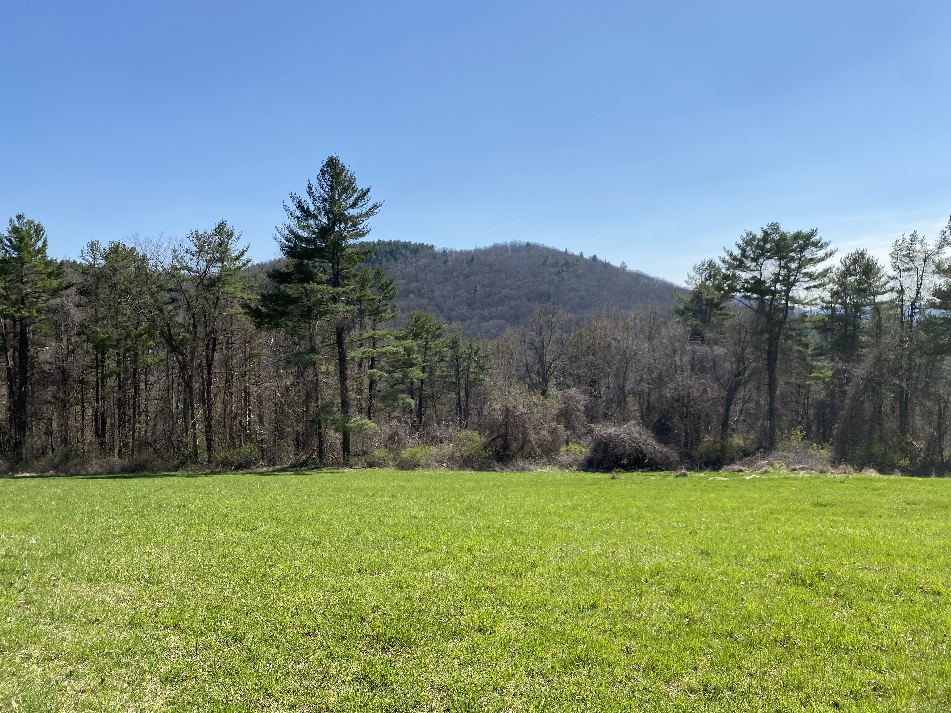  198-2 Beebe Hill Road - 物件實景