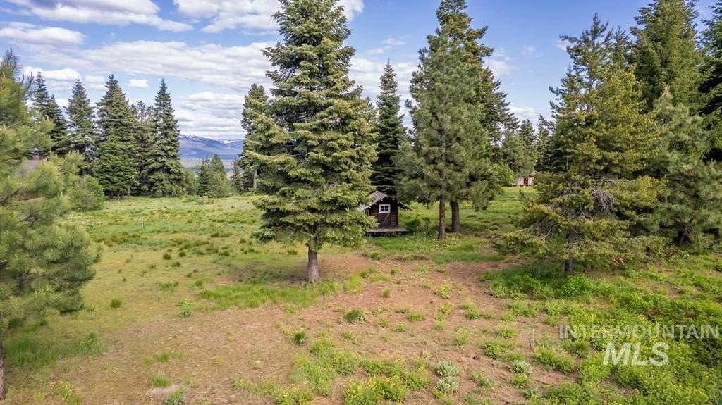 McCall, Idaho, 83638, United States, ,Land,For Sale,1983589