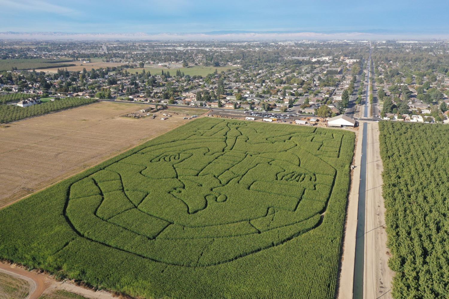 Turlock, California, 95380, United States, ,Land,For Sale,1976877