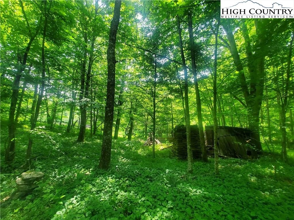 Warrensville, North Carolina, 28693, United States, ,Land,For Sale,1984173