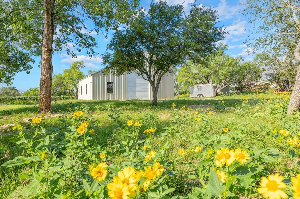405 405 Frederick Rd, Fredericksburg, Texas, 78624, United States, 5 Bedrooms Bedrooms, ,5 BathroomsBathrooms,Residential,For Sale,405 405 Frederick Rd,1413377