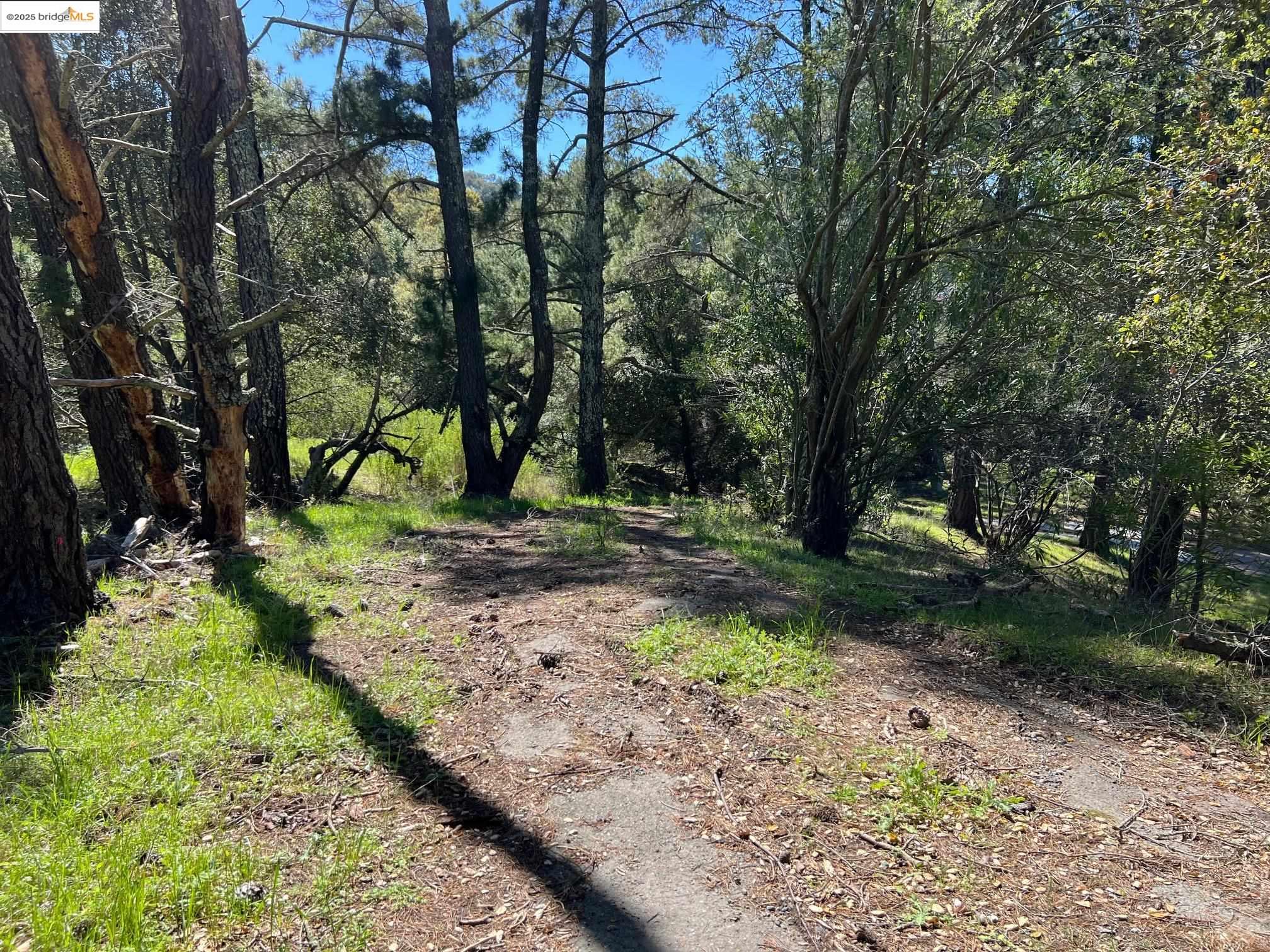 Orinda, California, 94563, United States, ,Land,For Sale,1712940