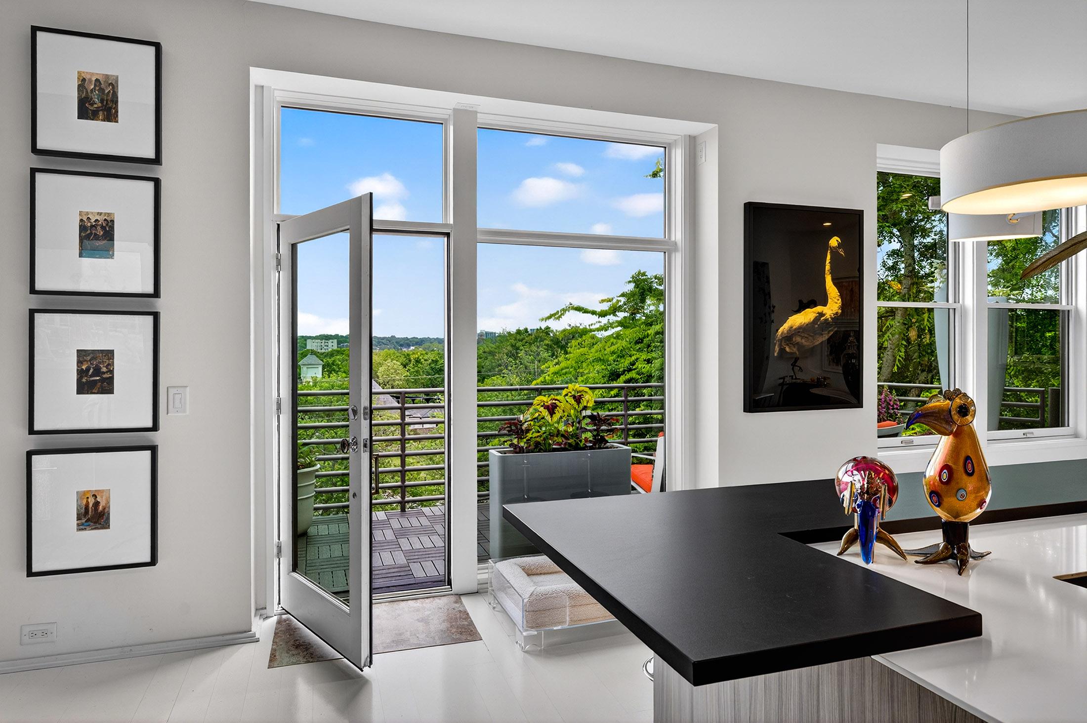  Extraordinary Ansley Park Residence Overlooking Piedmont Park - 物件實景