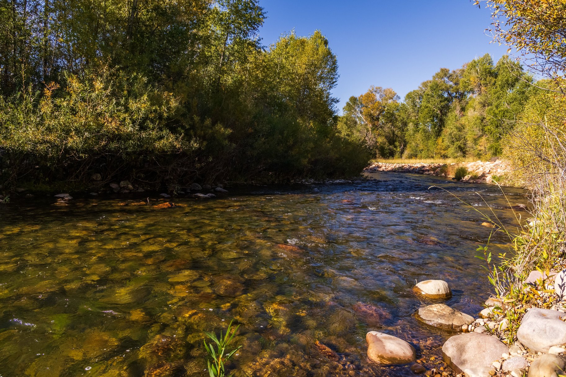  Riverfront in Oakley - 物件實景