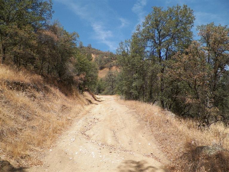 Sanger, California, 93657, United States, ,Residential,For Sale,1809815