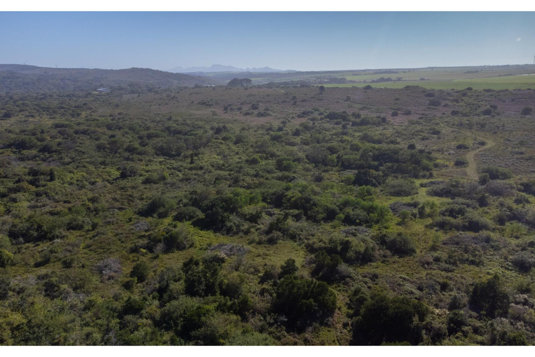  OYSTER BAY DEVELOPMENT LAND FOR SALE - 物件實景