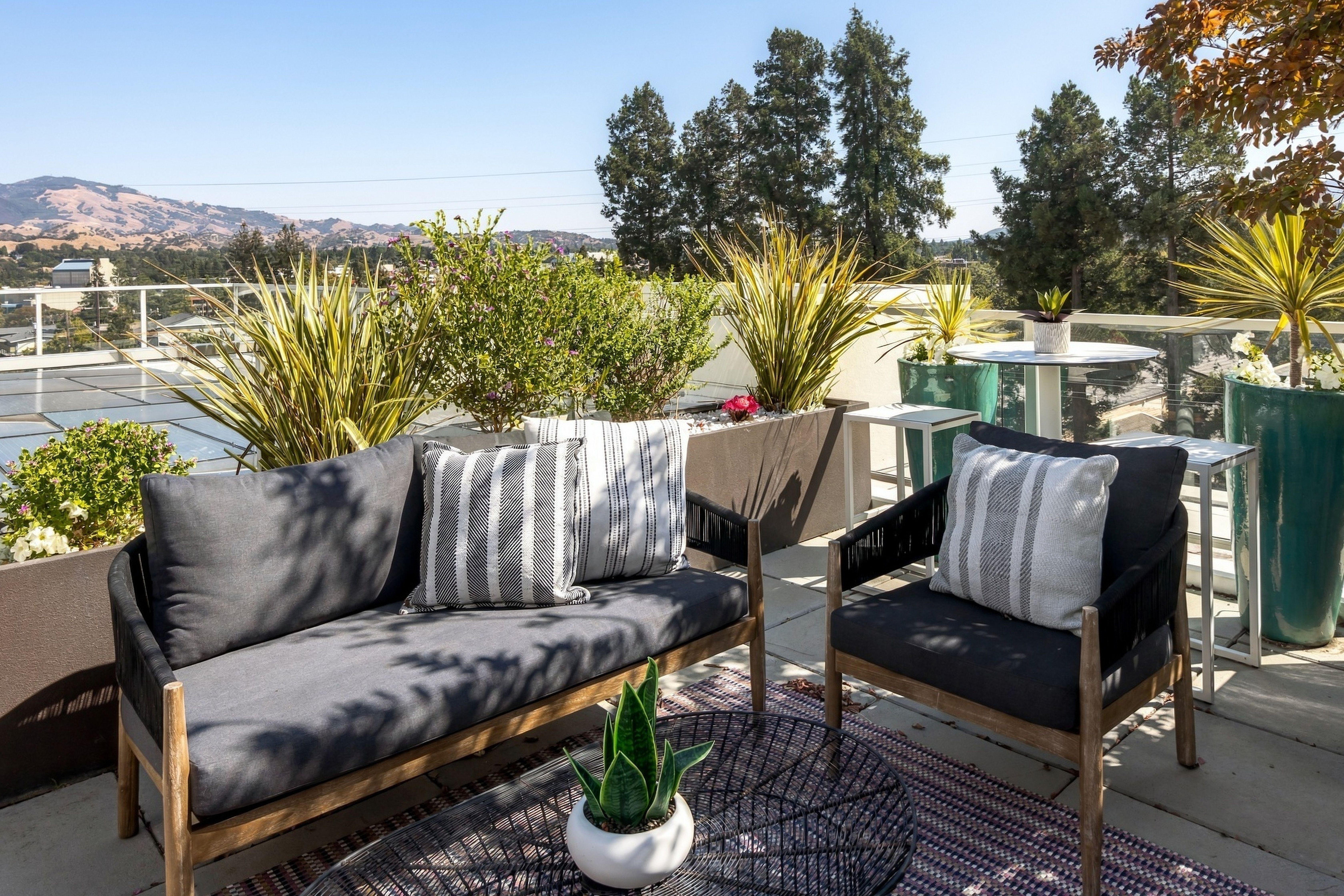  Penthouse Living Above Walnut Creek - 物件實景