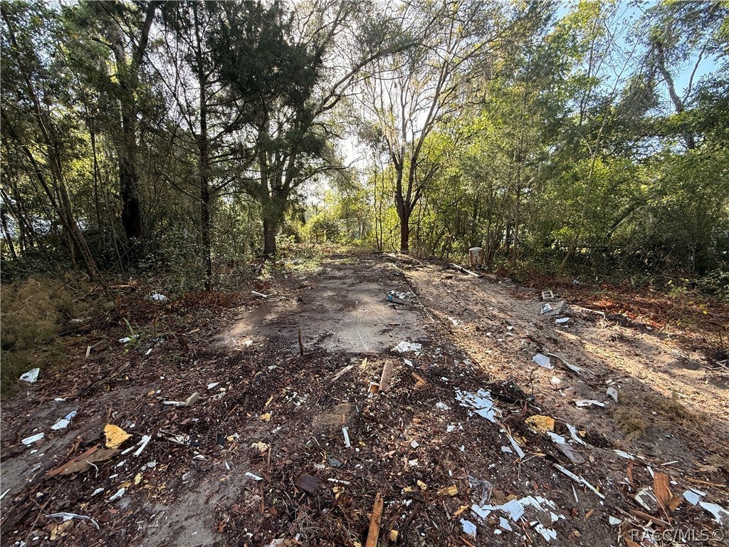 Carl G Rose Hwy, Hernando, FL 34442