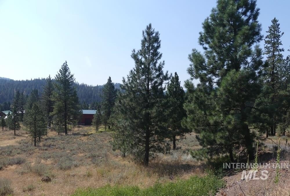New Meadows, Idaho, 83654, United States, 3 Bedrooms Bedrooms, ,3 BathroomsBathrooms,Residential,For Sale,1810630