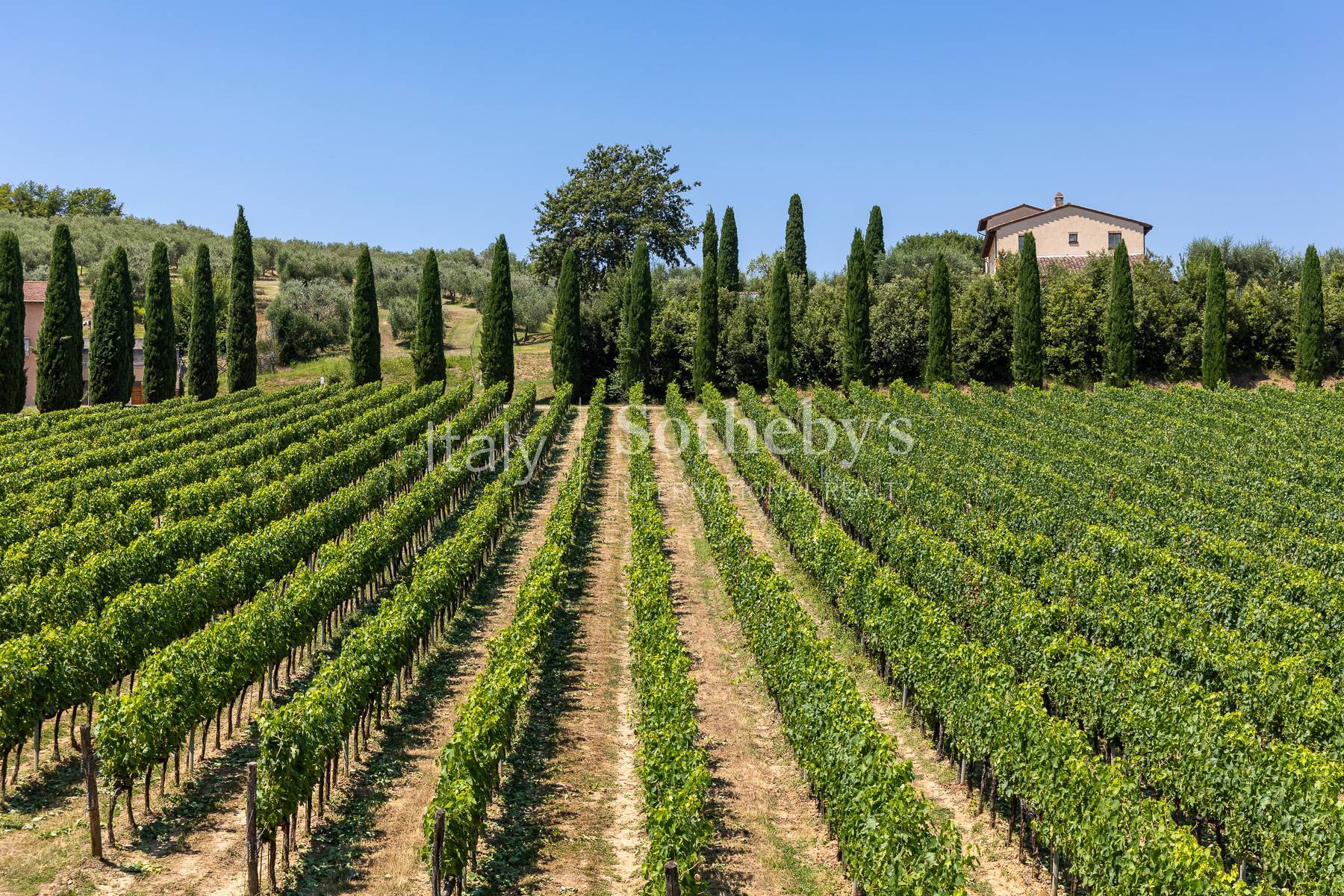  Luxury Wine Estate with Winery & Resort in Tuscany - 物件實景