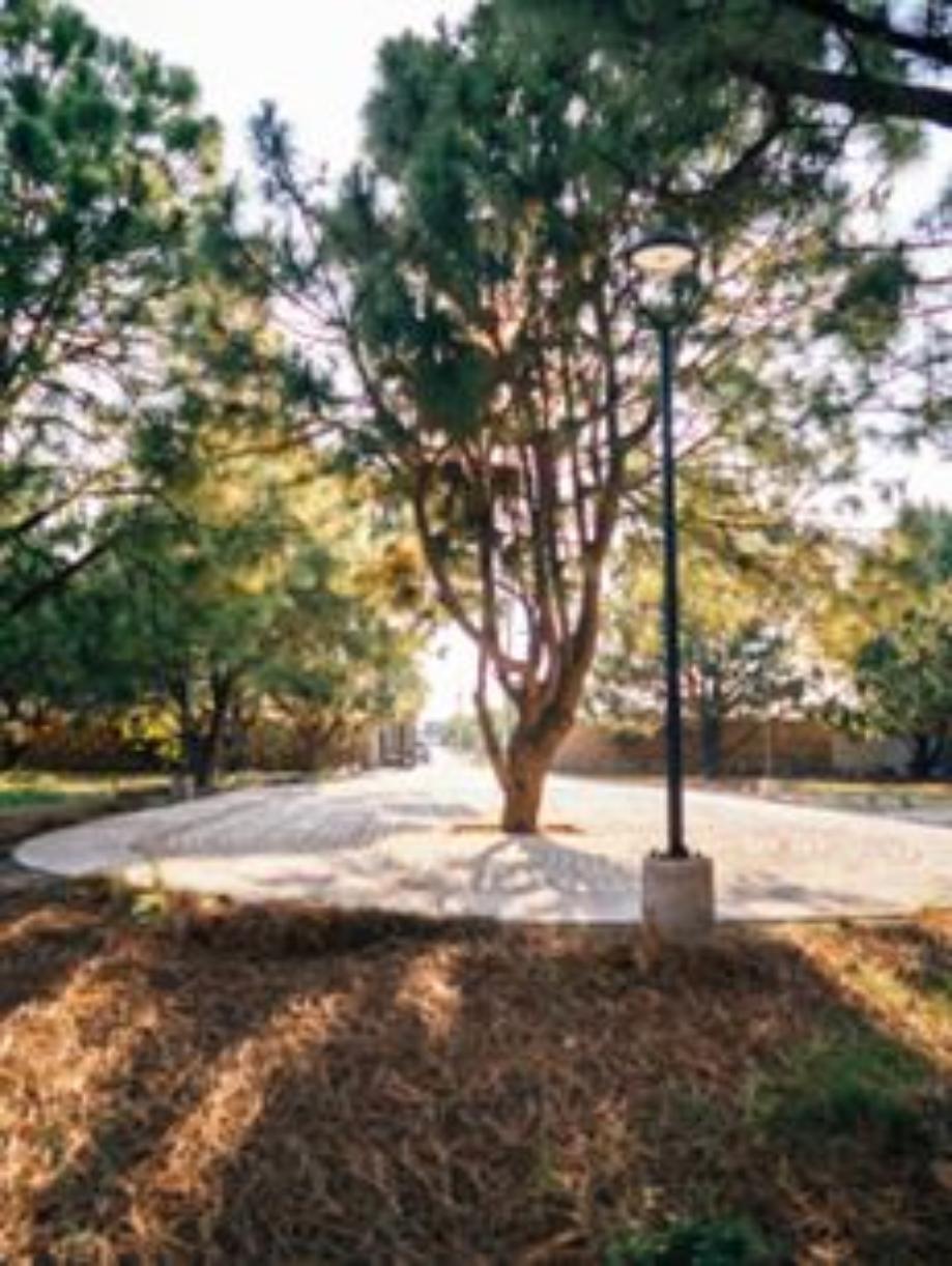 Ram?n Corona, Zapopan, Jalisco, 45019, Mexico, 1 Bedroom Bedrooms, ,Residential,For Sale,Ram?n Corona,1610655