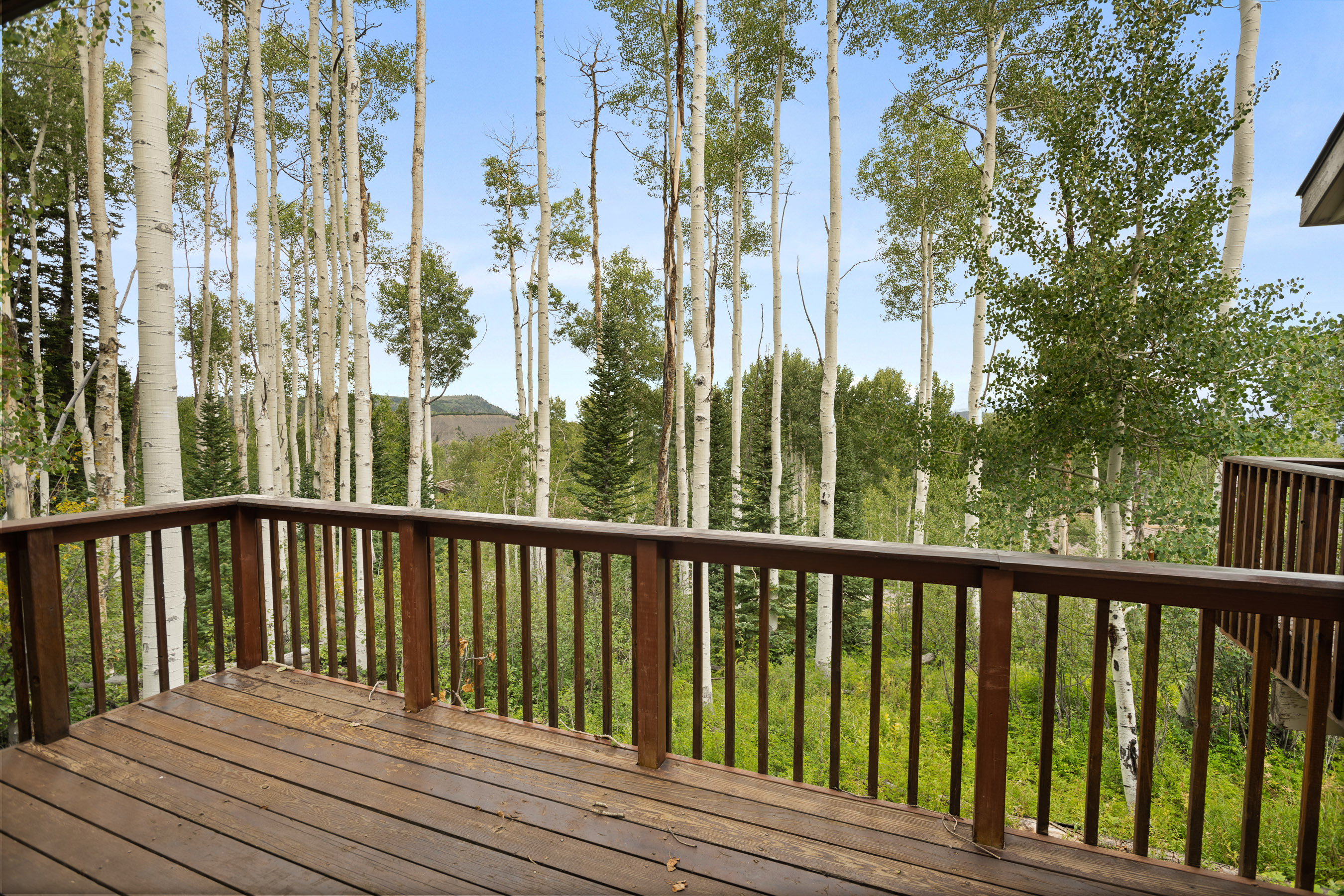  2055 Faraway Road, Snowmass Village, CO 81615 - 物件實景