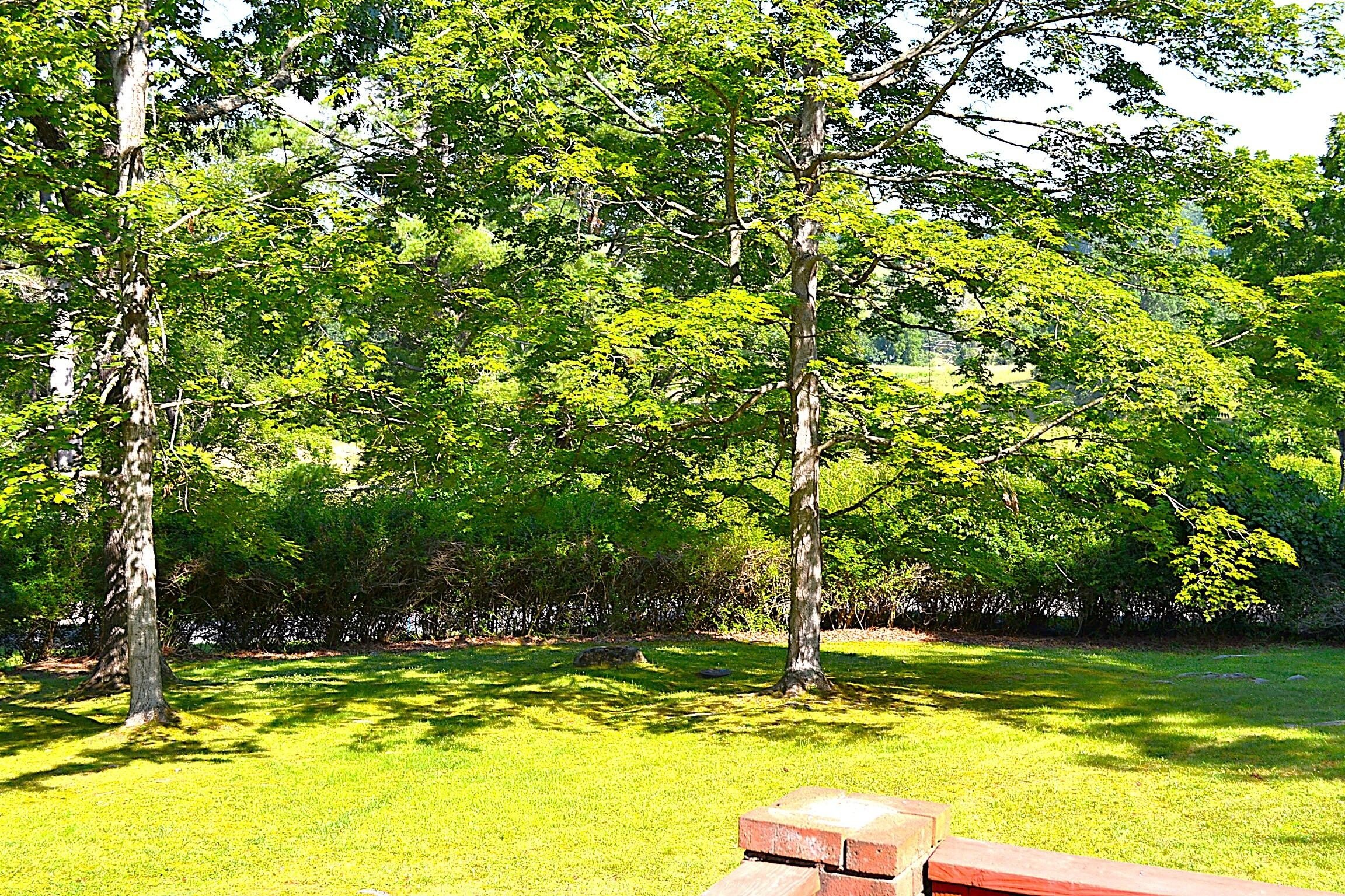 Lewisburg, West Virginia, 24901, United States, 6 Bedrooms Bedrooms, ,3 BathroomsBathrooms,Residential,For Sale,1940620