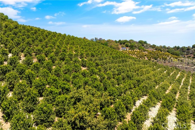 Temecula, California, 92590, United States, ,Land,For Sale,1988862