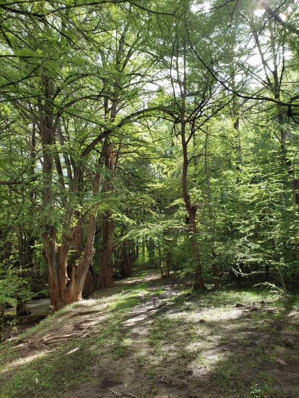 CONOCIDO NOMBRE DE DIOS DURANGO, Nombre de Dios, Durango, 34840, Mexico, 1 Bedroom Bedrooms, ,Residential,For Sale,CONOCIDO NOMBRE DE DIOS DURANGO,1627562