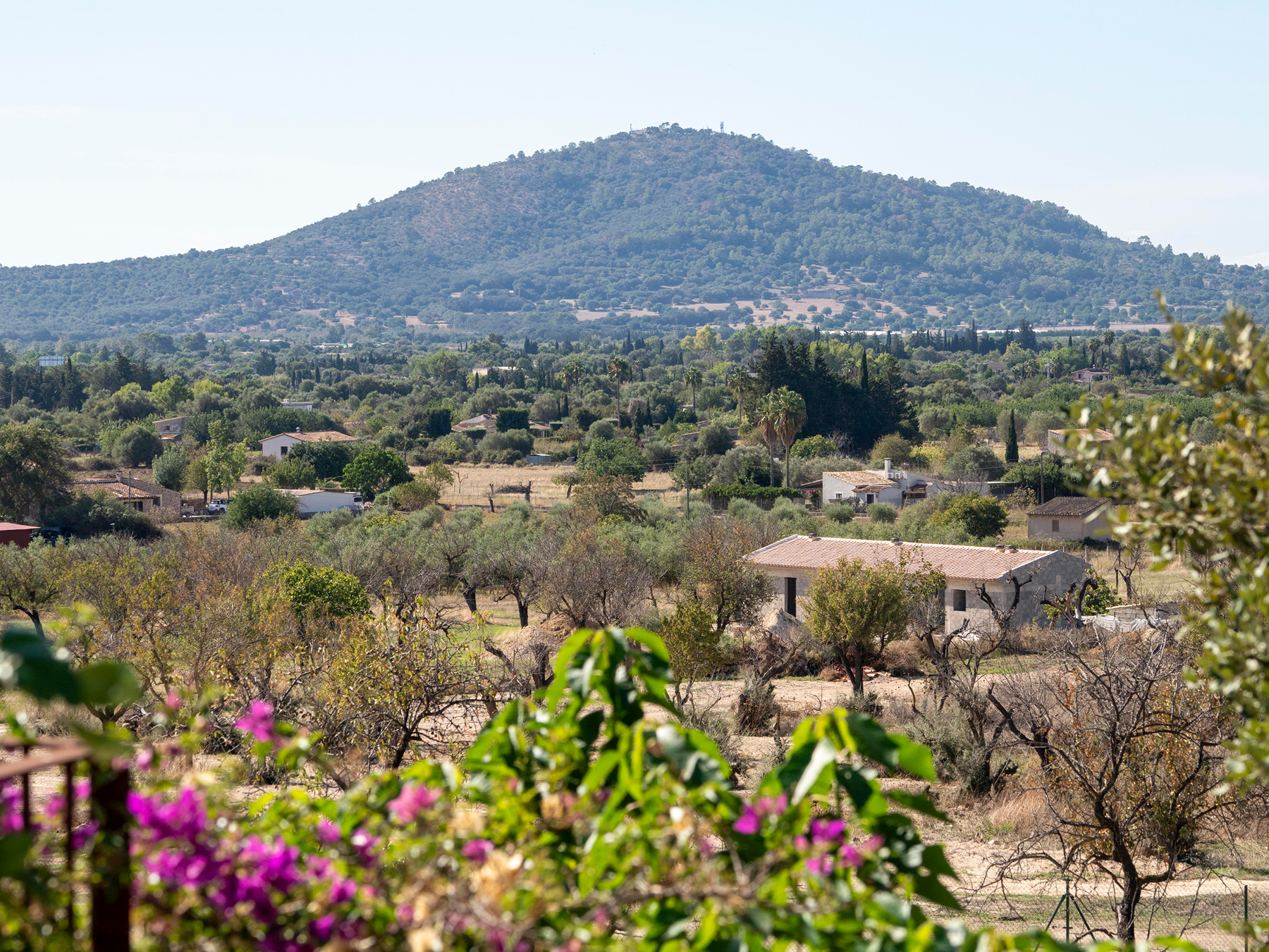  Traditional mallorcan house with pool and large gardens in Campanet - 物件實景
