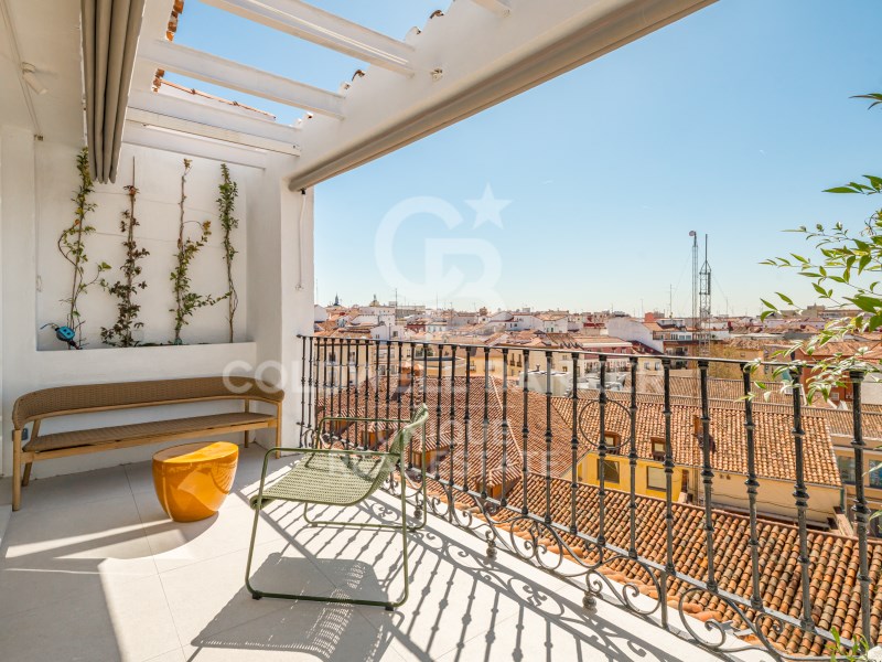 Madrid, Madrid, Centro, Palacio Madrid, Madrid, Ce, Madrid, Comunidad de Madrid, ES, 4 Bedrooms Bedrooms, ,3 BathroomsBathrooms,Residential,For Sale,Madrid, Madrid, Centro, Palacio Madrid, Madrid, Ce,1652714