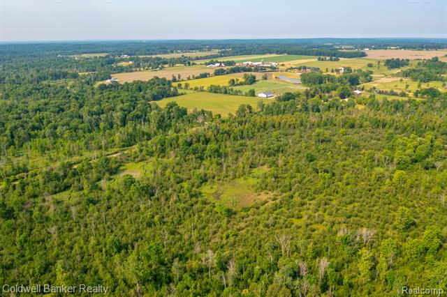 000 Willis Road, Burnside Twp, Michigan, 48416, United States, ,Land,For Sale,000 Willis Road,1288275