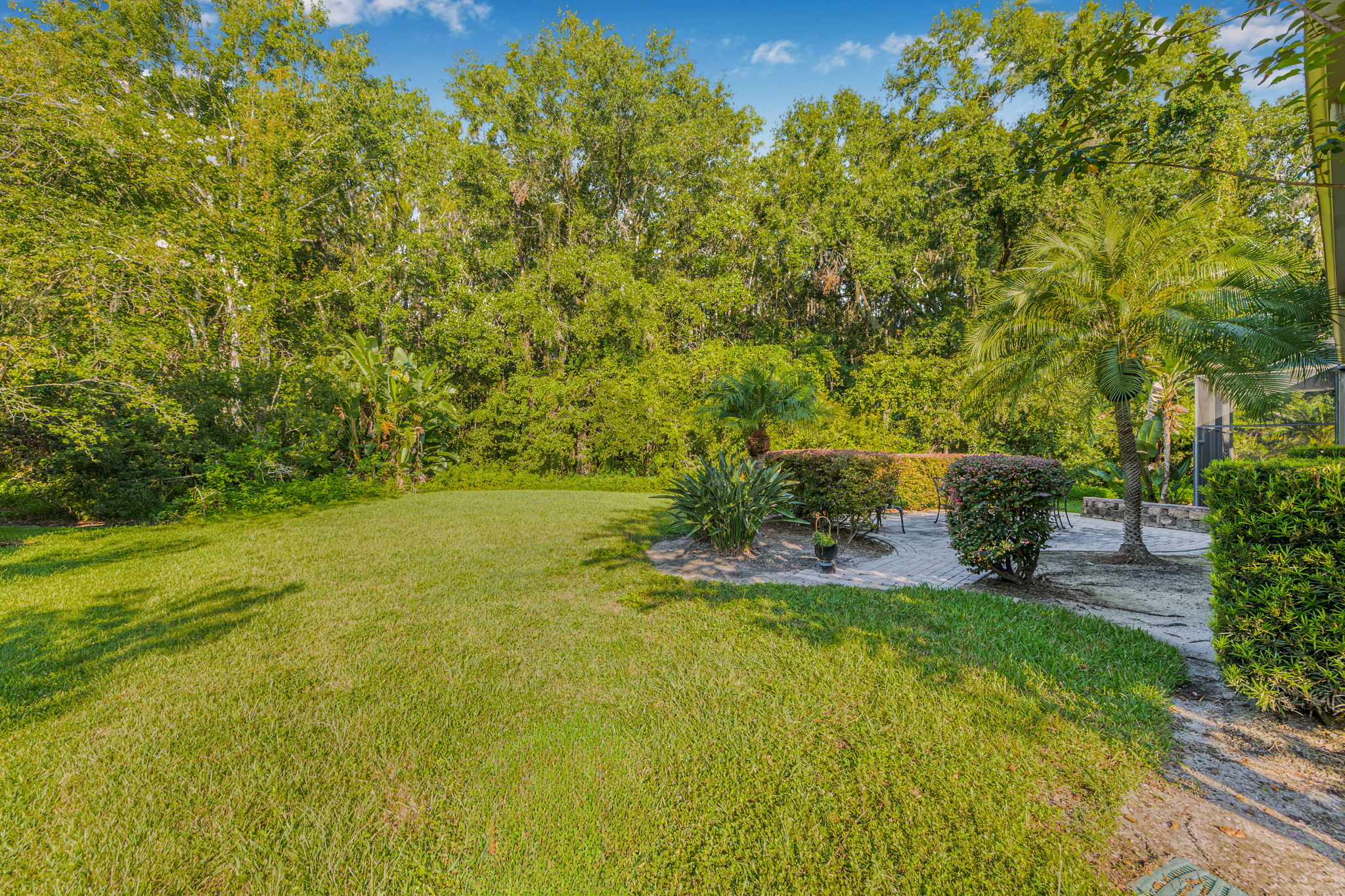 Wesley Chapel, Florida, 33543, United States, 4 Bedrooms Bedrooms, ,3 BathroomsBathrooms,Residential,For Sale,1904479