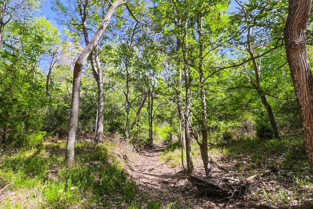 Lexington, Texas, 78947, United States, 4 Bedrooms Bedrooms, ,3 BathroomsBathrooms,Residential,For Sale,2002200