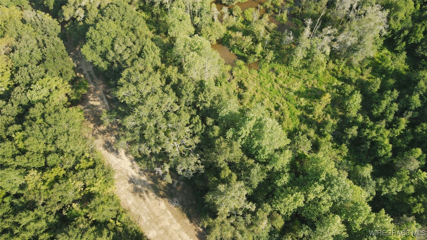 Enterprise, Alabama, 36330, United States, 4 Bedrooms Bedrooms, ,3 BathroomsBathrooms,Residential,For Sale,1977039