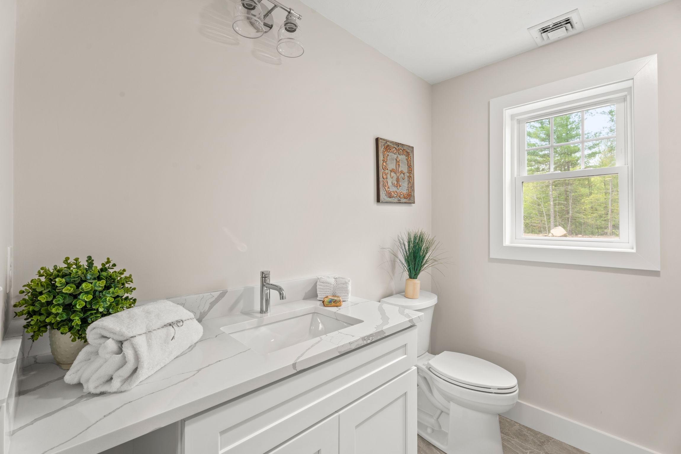  99 Driftwood Circle, Sandown, NH, 03873 - 物件實景