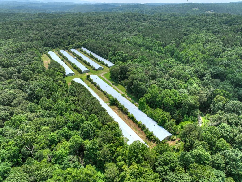 Talking Rock, Georgia, 30175, United States, 5 Bedrooms Bedrooms, ,4 BathroomsBathrooms,Residential,For Sale,1848832