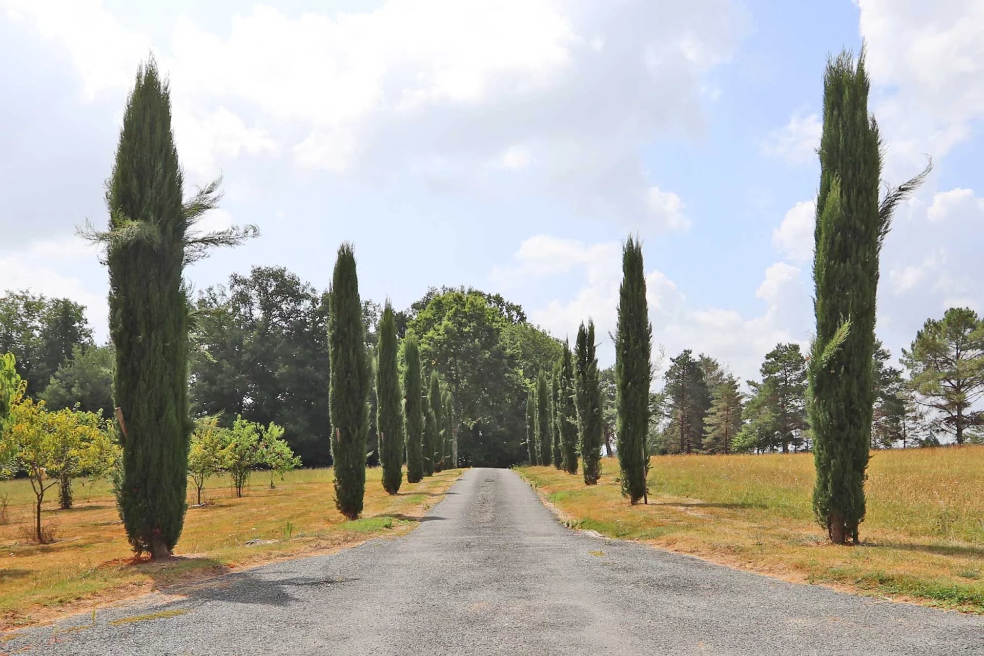 Bergerac, New Aquitaine, 24100, FR, 6 Bedrooms Bedrooms, ,7 BathroomsBathrooms,Residential,For Sale,1995635