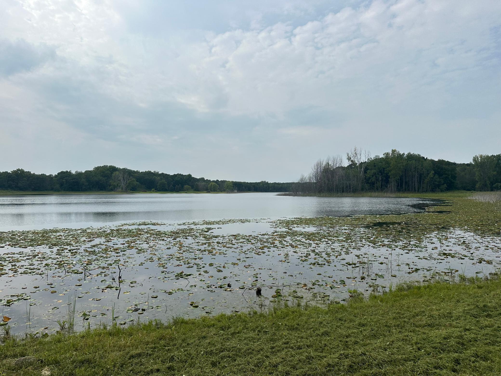 Lake Elmo, Minnesota, 55042, United States, 4 Bedrooms Bedrooms, ,4 BathroomsBathrooms,Residential,For Sale,2016349