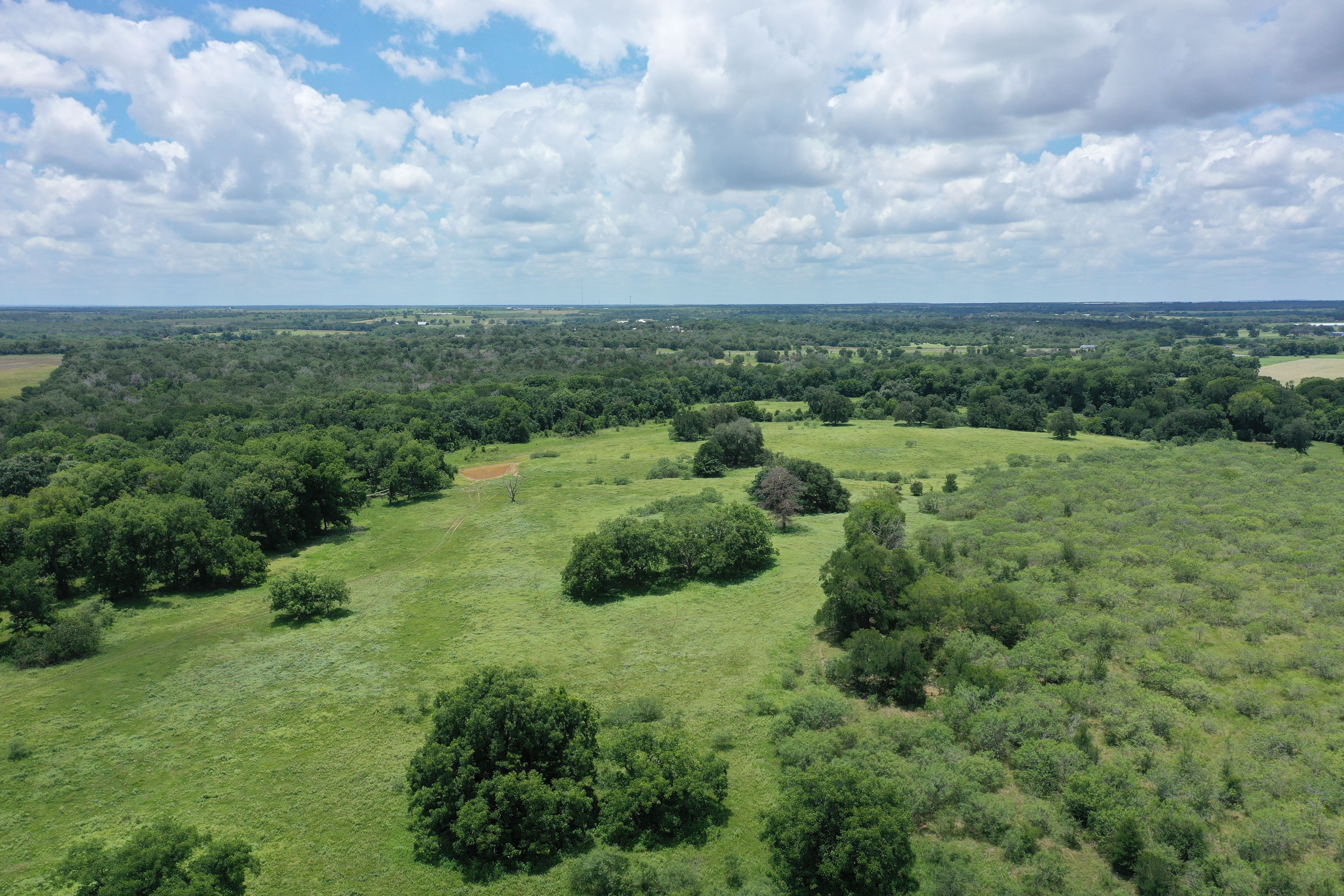  Buck Branch Ranch - 物件實景