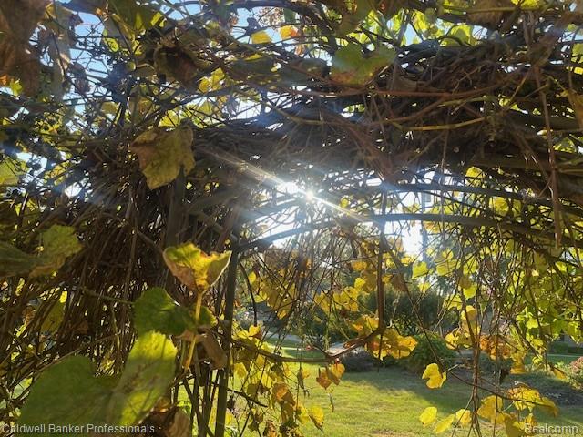 Highland, Michigan, 48356, United States, 4 Bedrooms Bedrooms, ,4 BathroomsBathrooms,Residential,For Sale,1994740