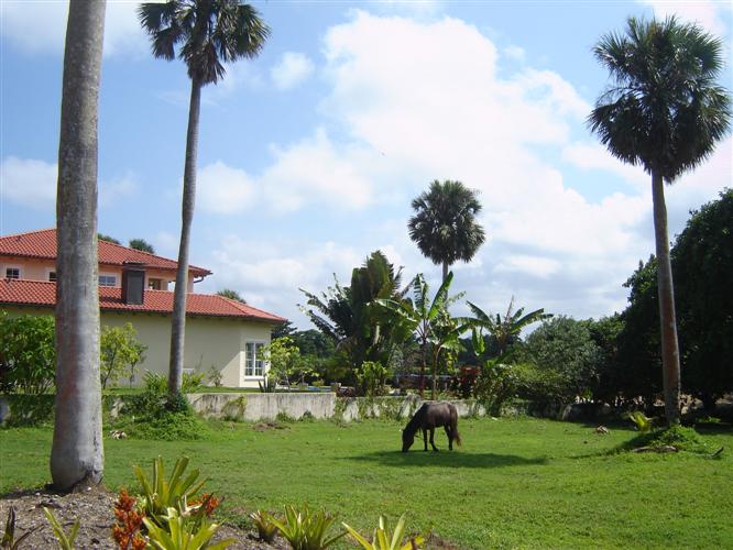 Cabarete, DO, 4 Bedrooms Bedrooms, ,4 BathroomsBathrooms,Residential,For Sale,1618896