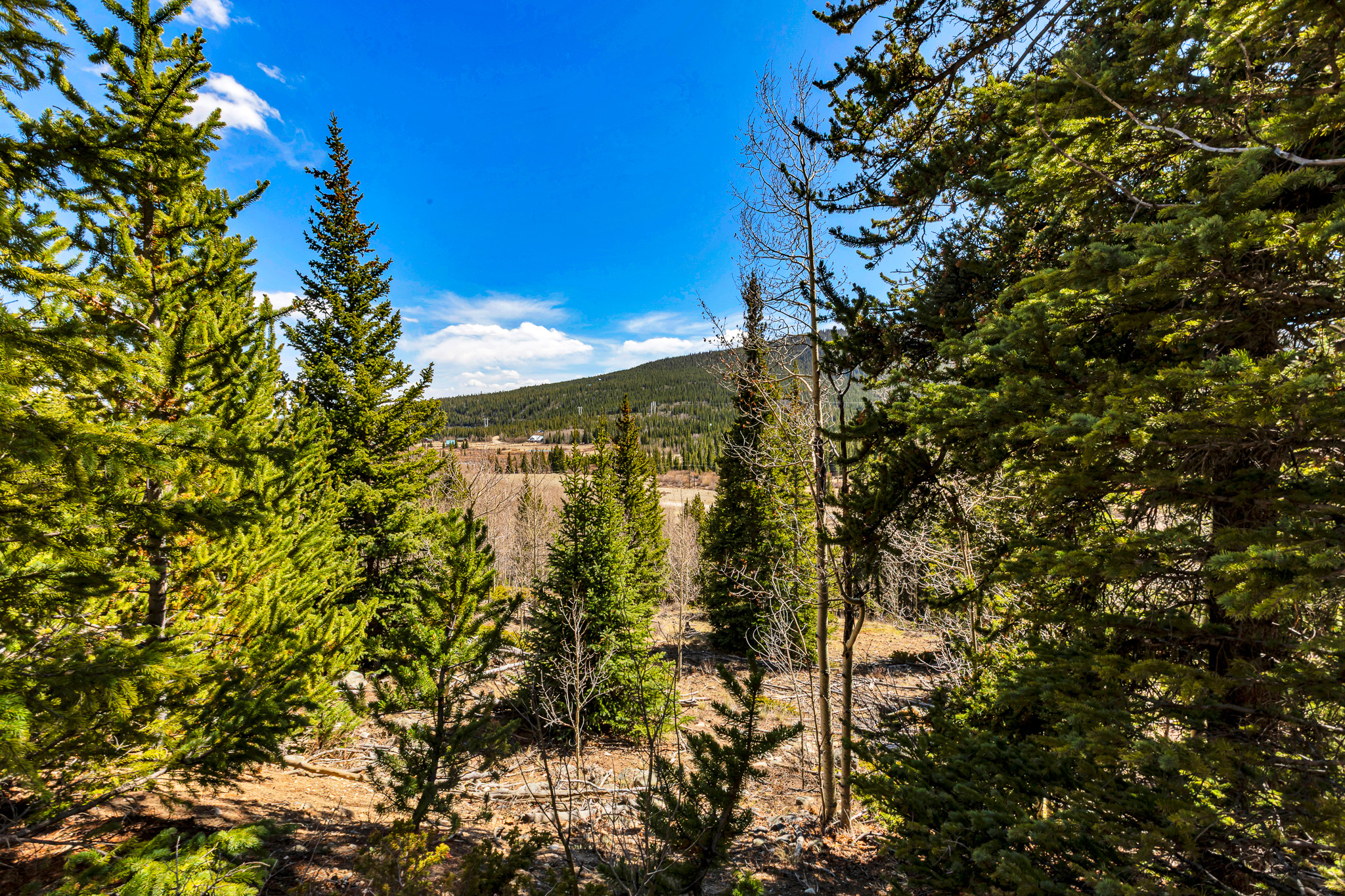 270 Co Rd 667, Alma, CO, 80440 - 物件實景