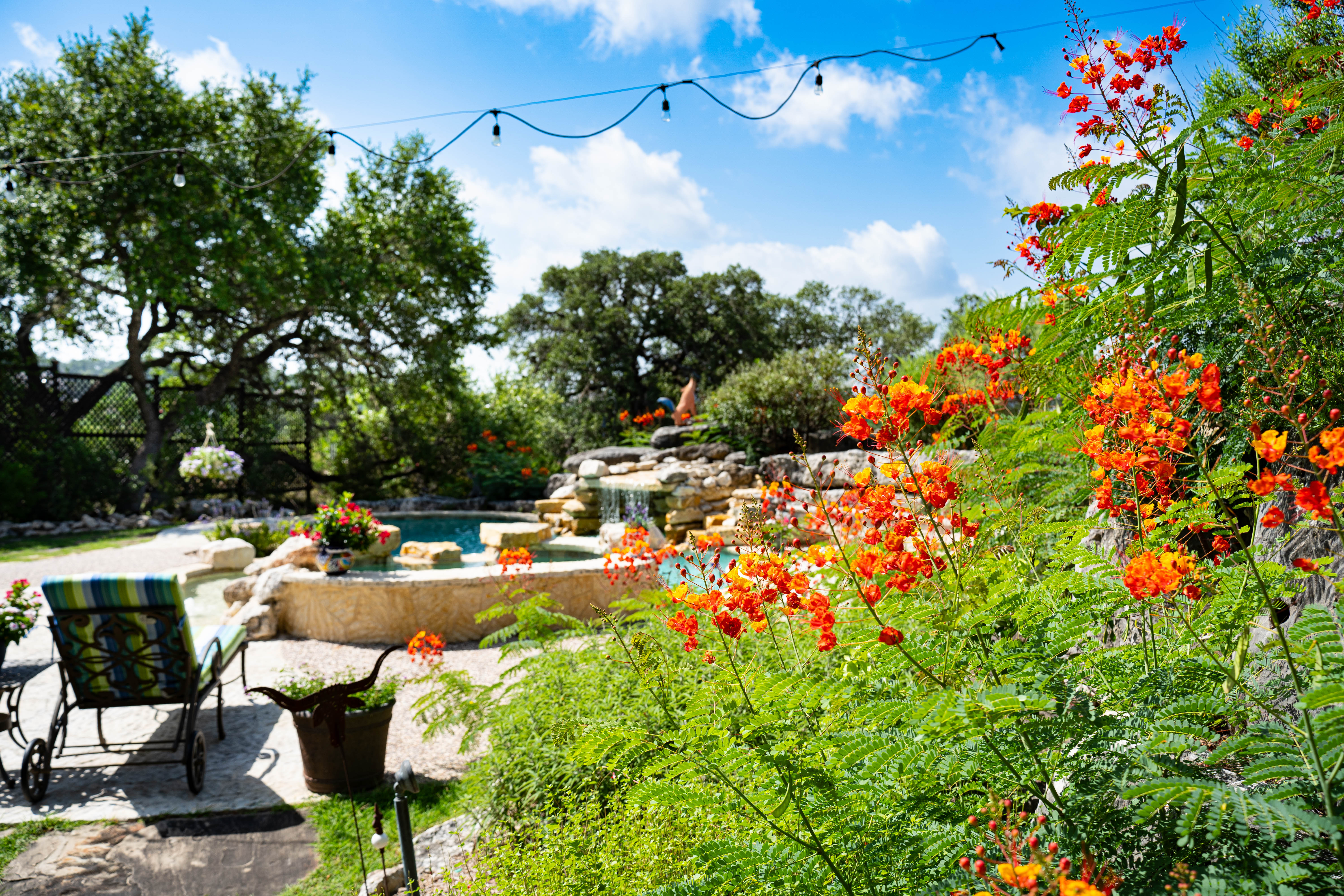  Refined Hill Country Living on the Guadalupe - 物件實景