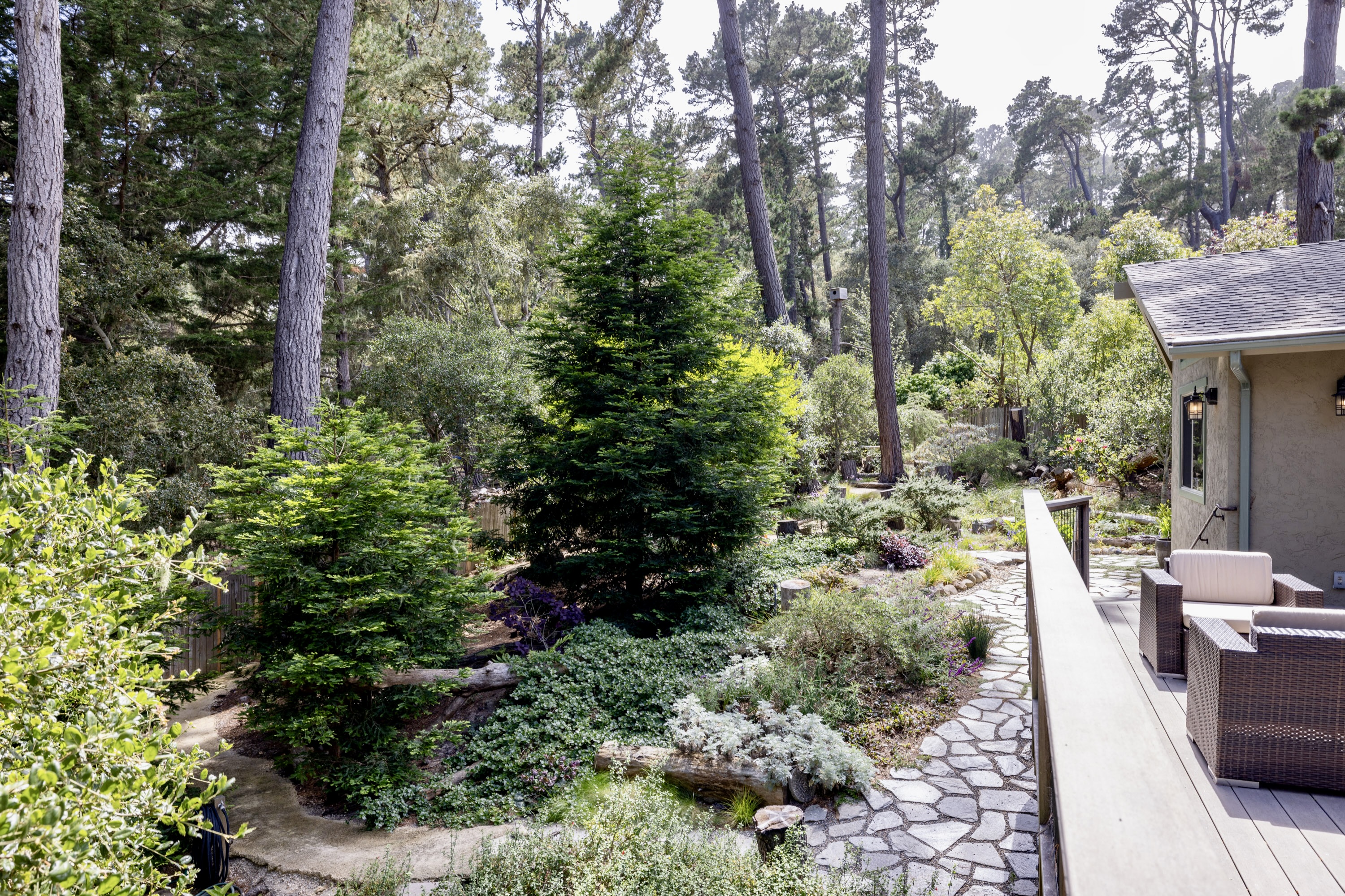  3 Forest Rise Place, Monterey - 物件實景