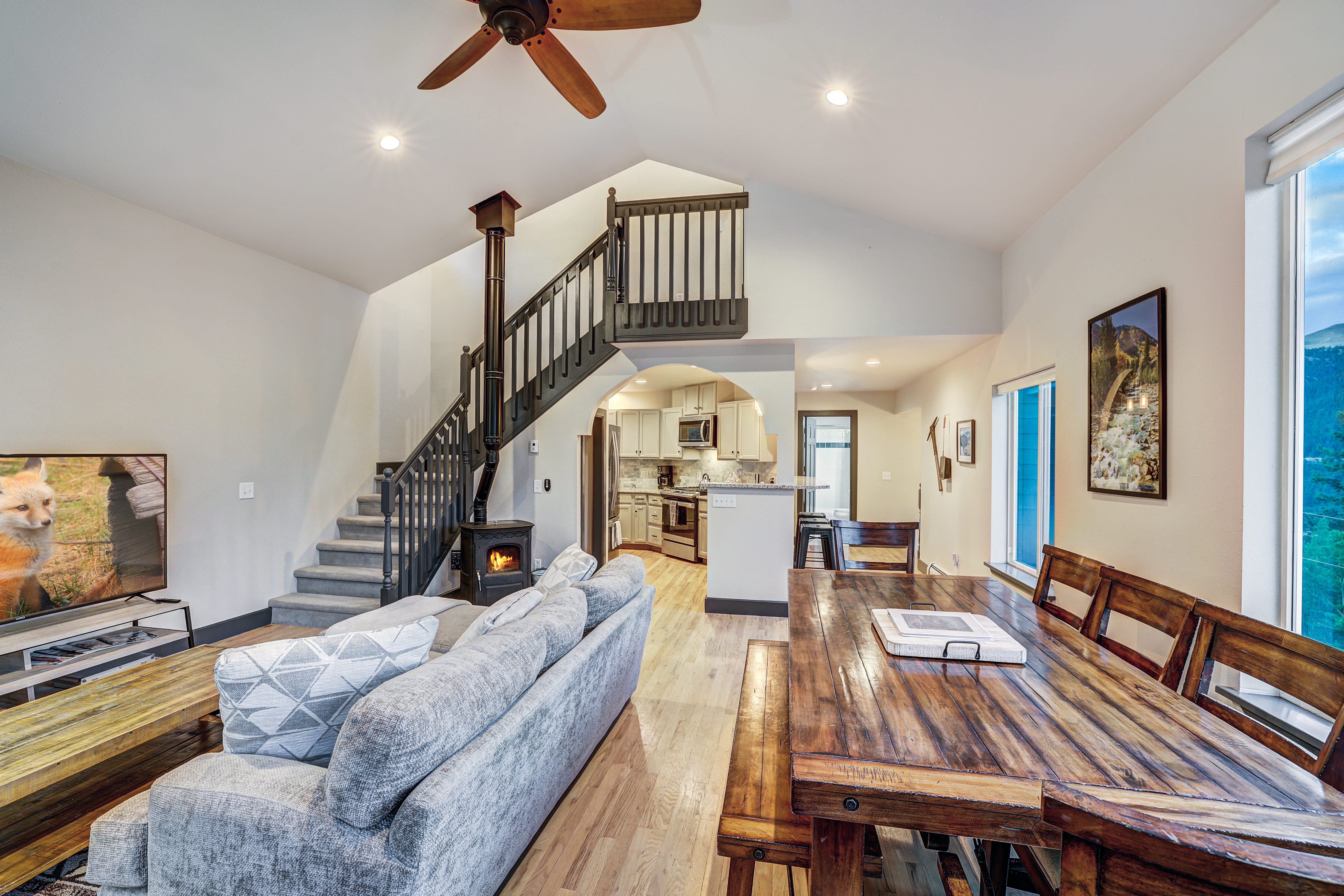  1095 Quartzville,Alma, CO, 80420 - 物件實景
