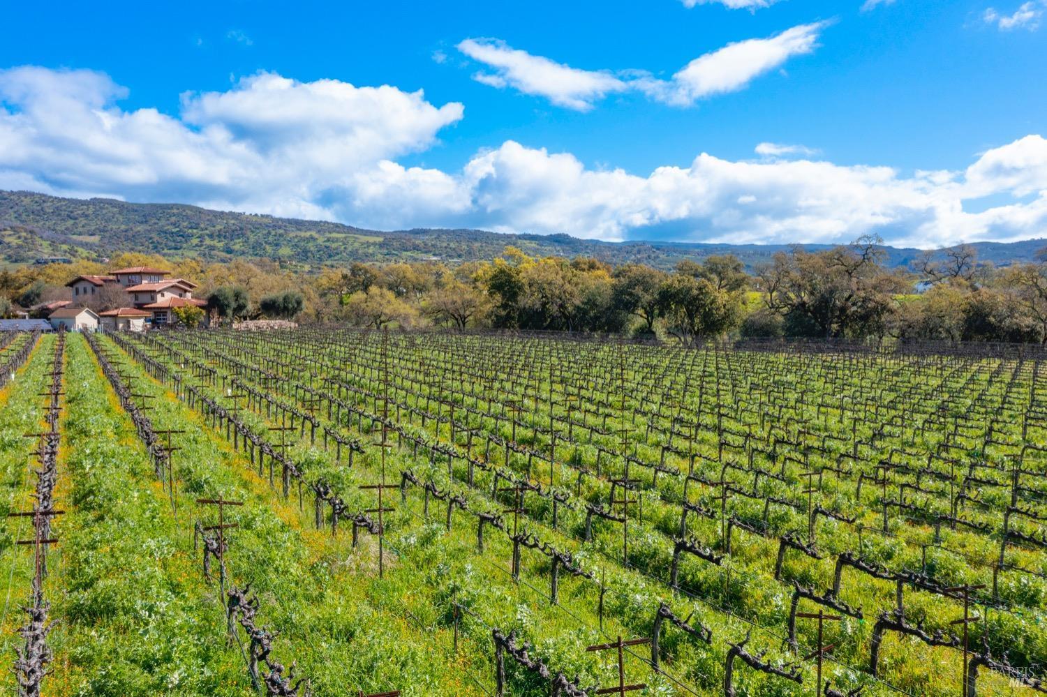 Napa, California, 94558, United States, 8 Bedrooms Bedrooms, ,9 BathroomsBathrooms,Residential,For Sale,1729911