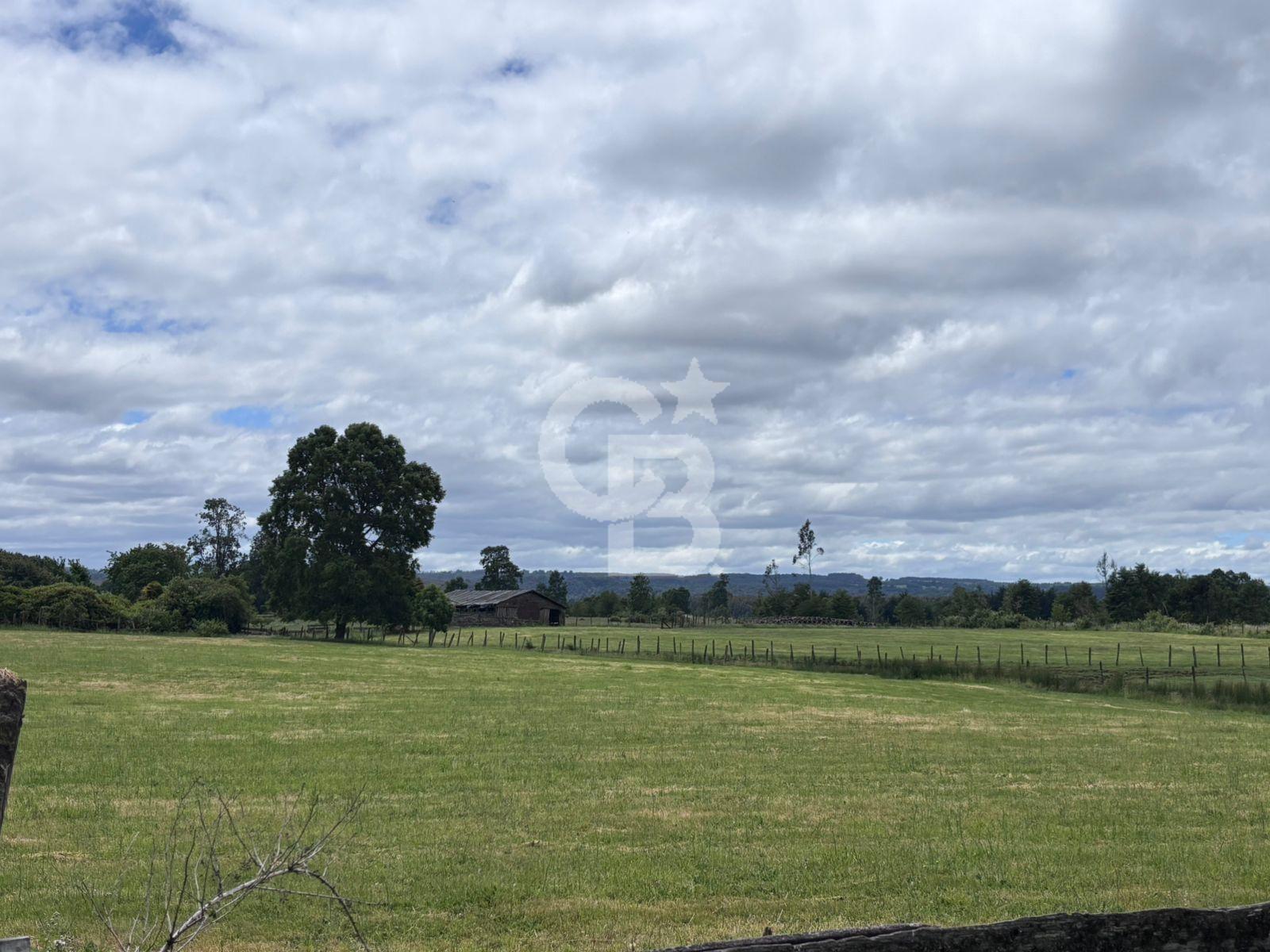 Fresia, Chile, ,Land,For Sale,2003048