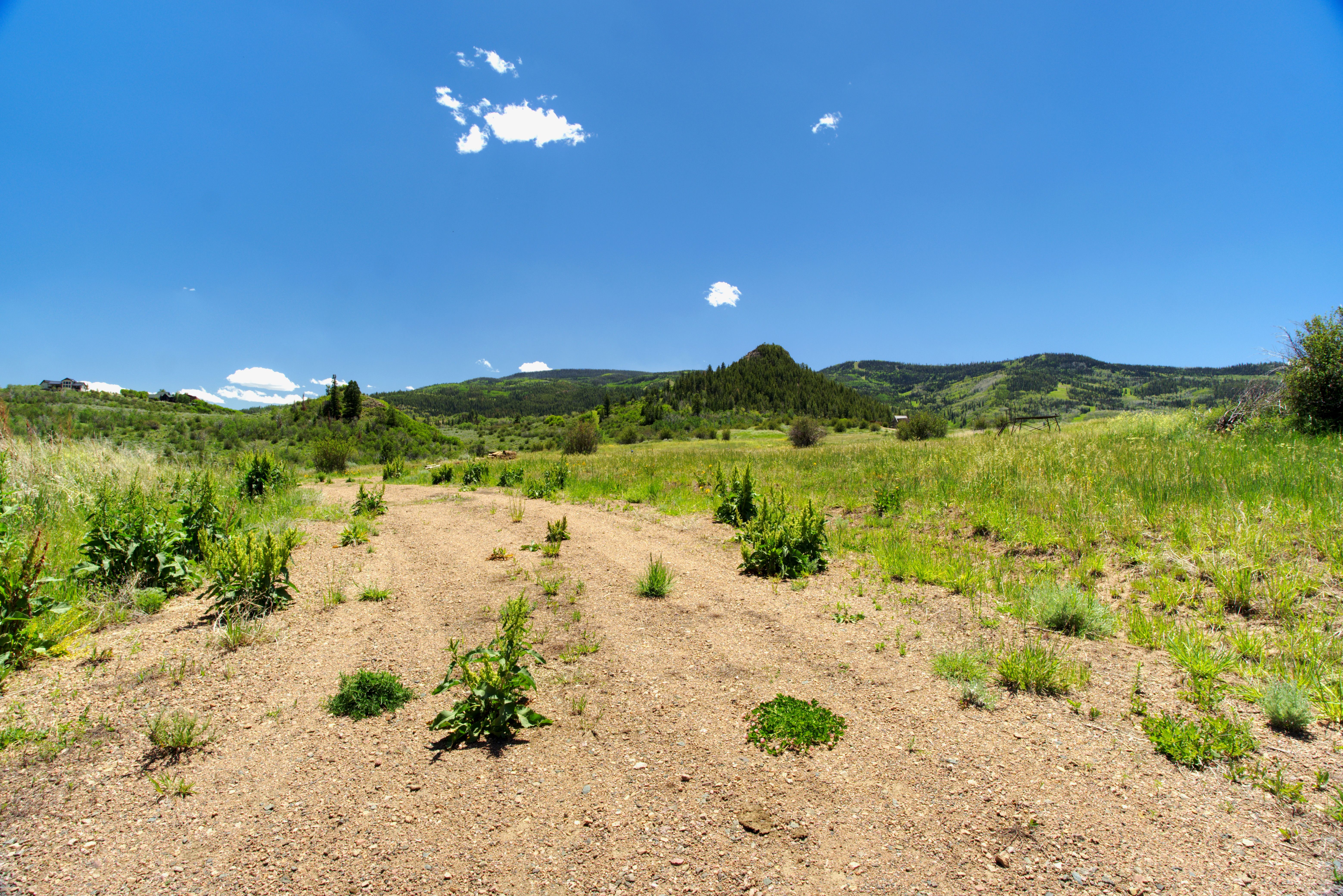  23590 Youngs Creek Way, Oak Creek, CO, 80467 - 物件實景