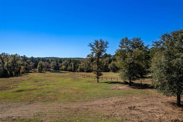 Winona, Texas, 75792, United States, 4 Bedrooms Bedrooms, ,2 BathroomsBathrooms,Residential,For Sale,1995143