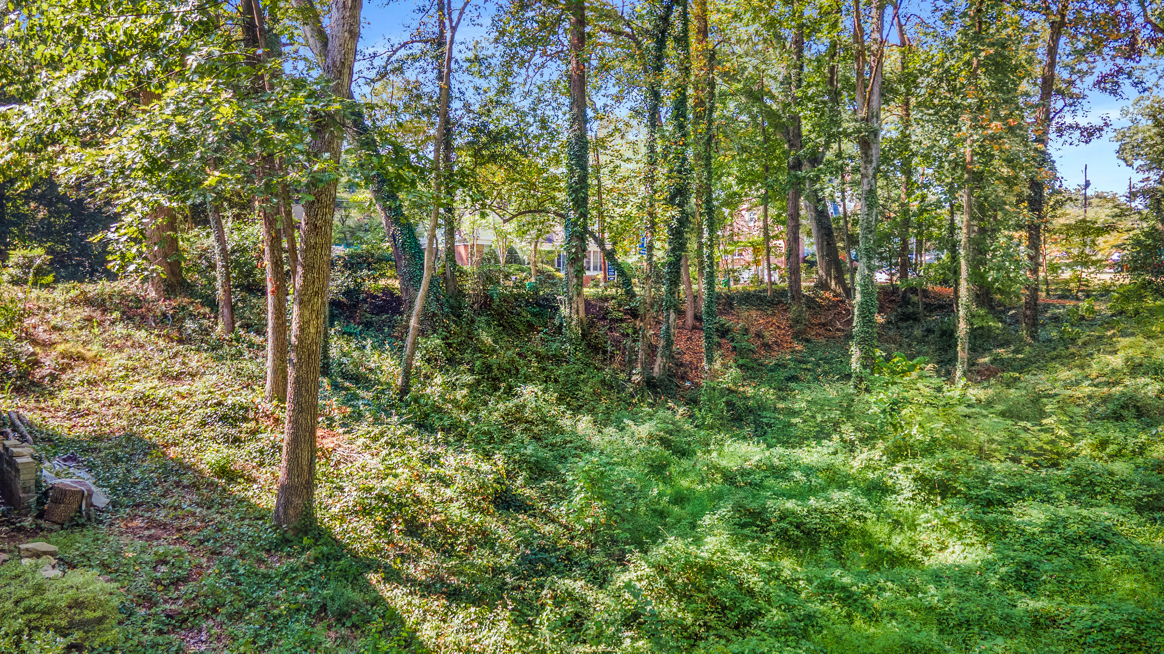  Three Contiguous Lots for New Construction in Historic Druid Hills - 物件實景