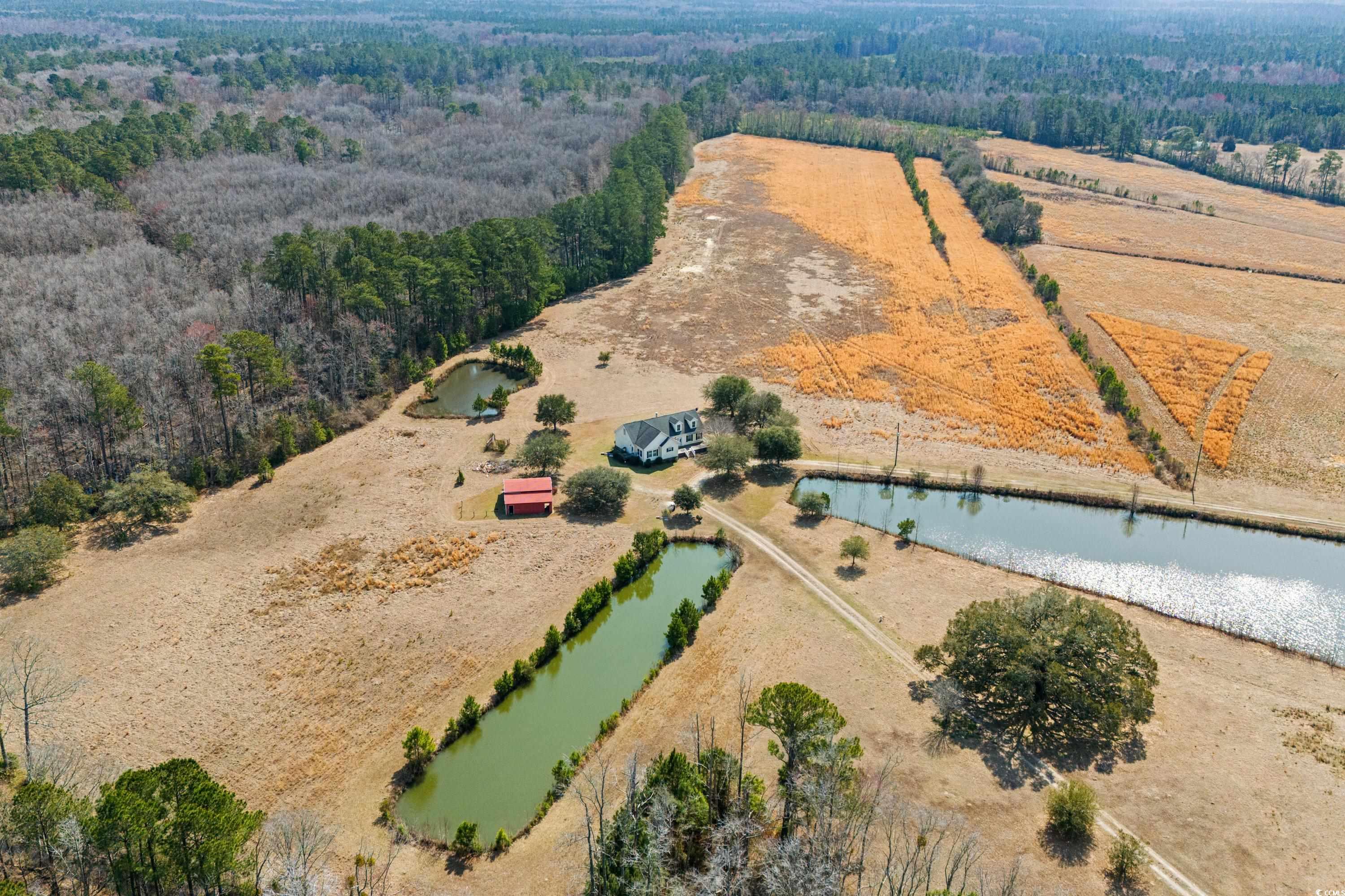 Longs, South Carolina, 29568, United States, ,Land,For Sale,1838298