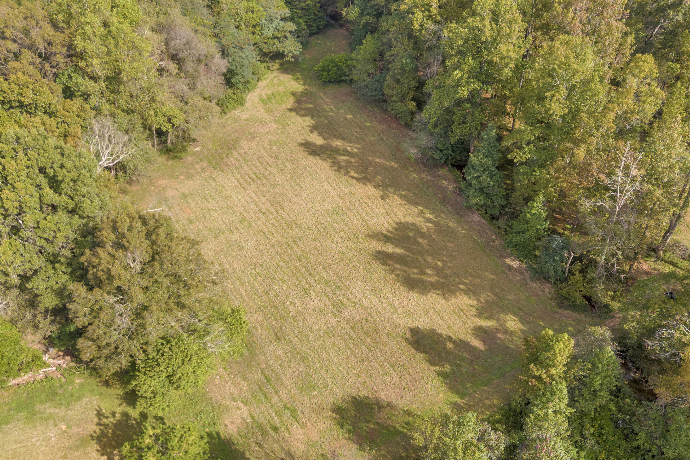 Cleveland, Georgia, 30528, United States, 3 Bedrooms Bedrooms, ,2 BathroomsBathrooms,Residential,For Sale,1979350